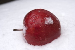 snow_white_s_apple_2_by_wintersmagicstock-d5z3p02